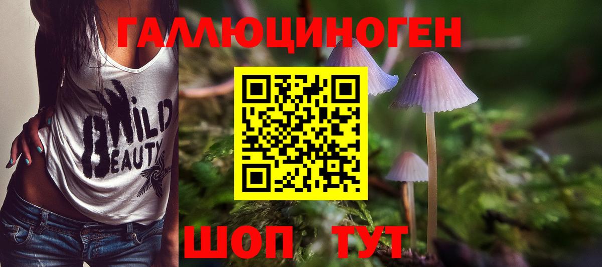 Псилоцибиновые грибы ЛСД  Вход с VPN  Владикавказ 