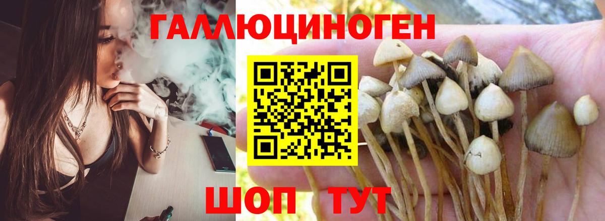 Псилоцибиновые грибы MAGIC MUSHROOMS Владикавказ